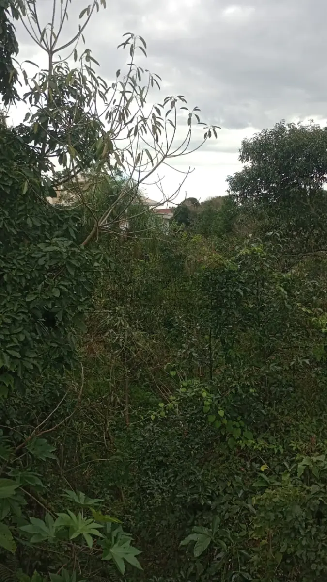 LOTE 005 - TERRENO URBANO DE 360M²