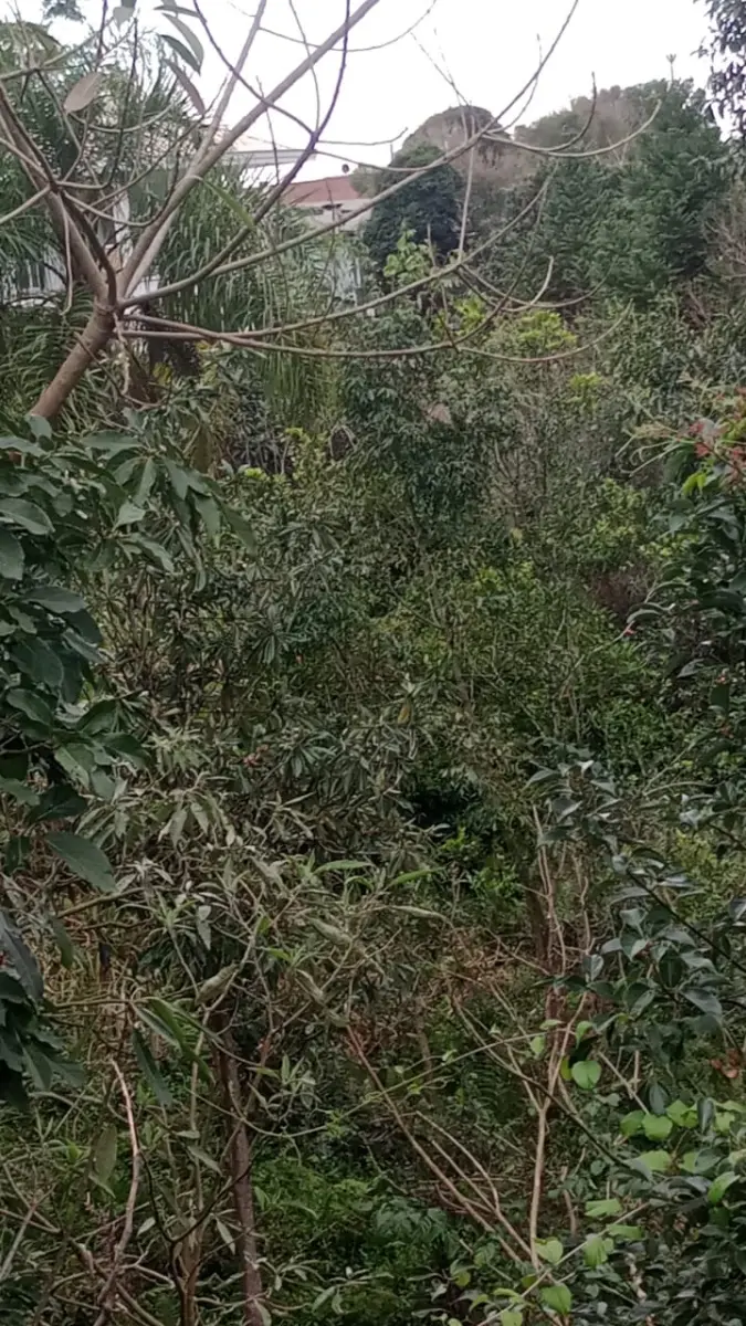 LOTE 005 - TERRENO URBANO DE 360M²