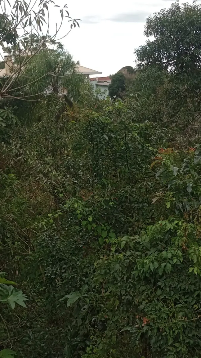 LOTE 005 - TERRENO URBANO DE 360M²