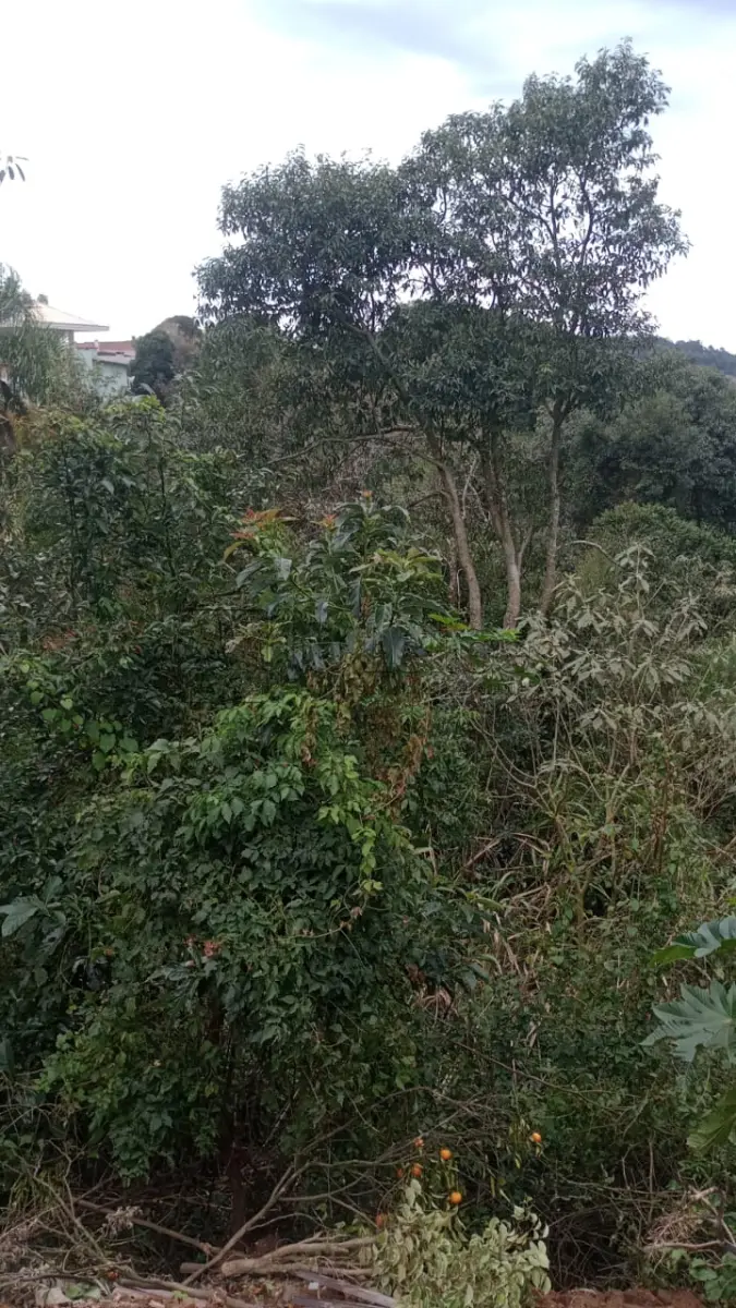 LOTE 005 - TERRENO URBANO DE 360M²