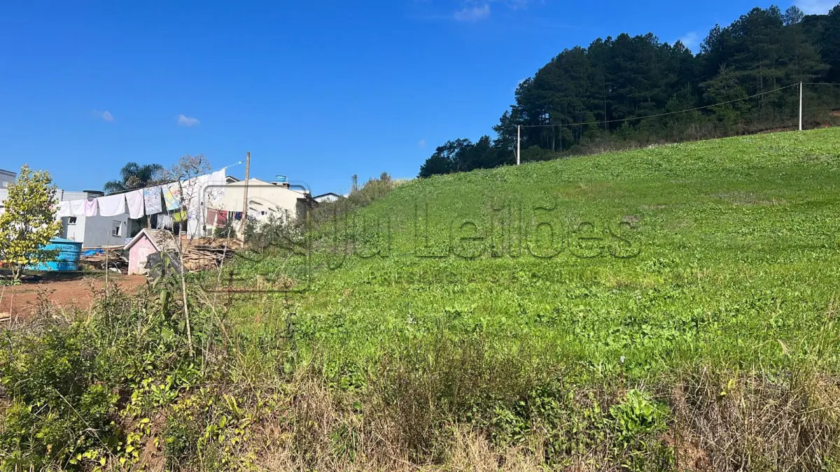 LOTE 033