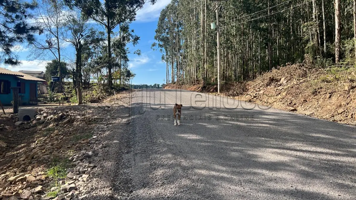 LOTE 031 - IMÓVEL RURAL COM ÁREA DE 6.590m²