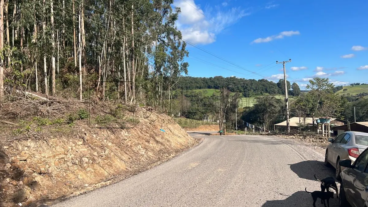 LOTE 031 - IMÓVEL RURAL COM ÁREA DE 6.590m²