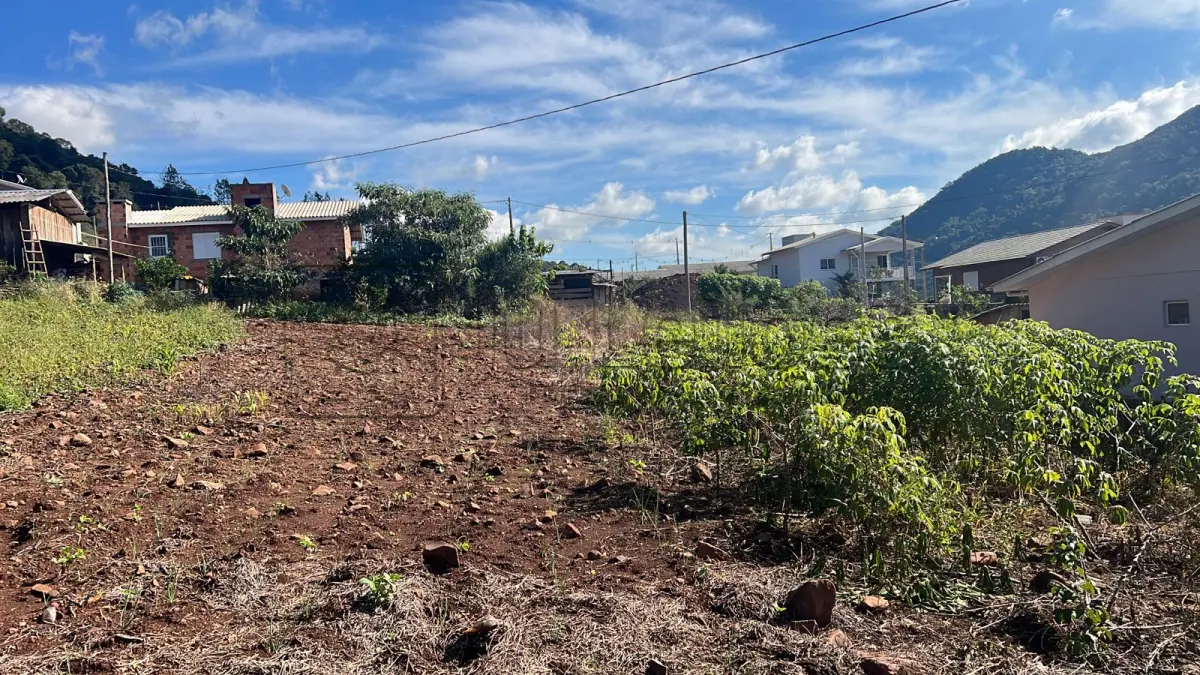 LOTE 035