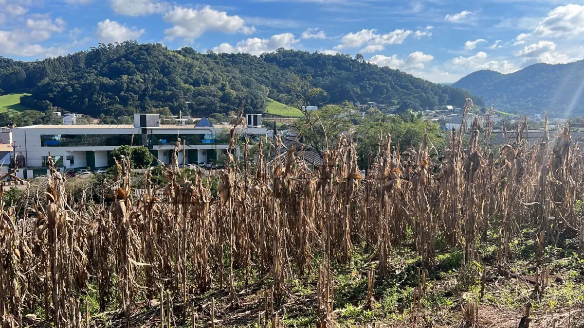 LOTE 032 - IMÓVEL URBANO COM ÁREA 1.130,00m²