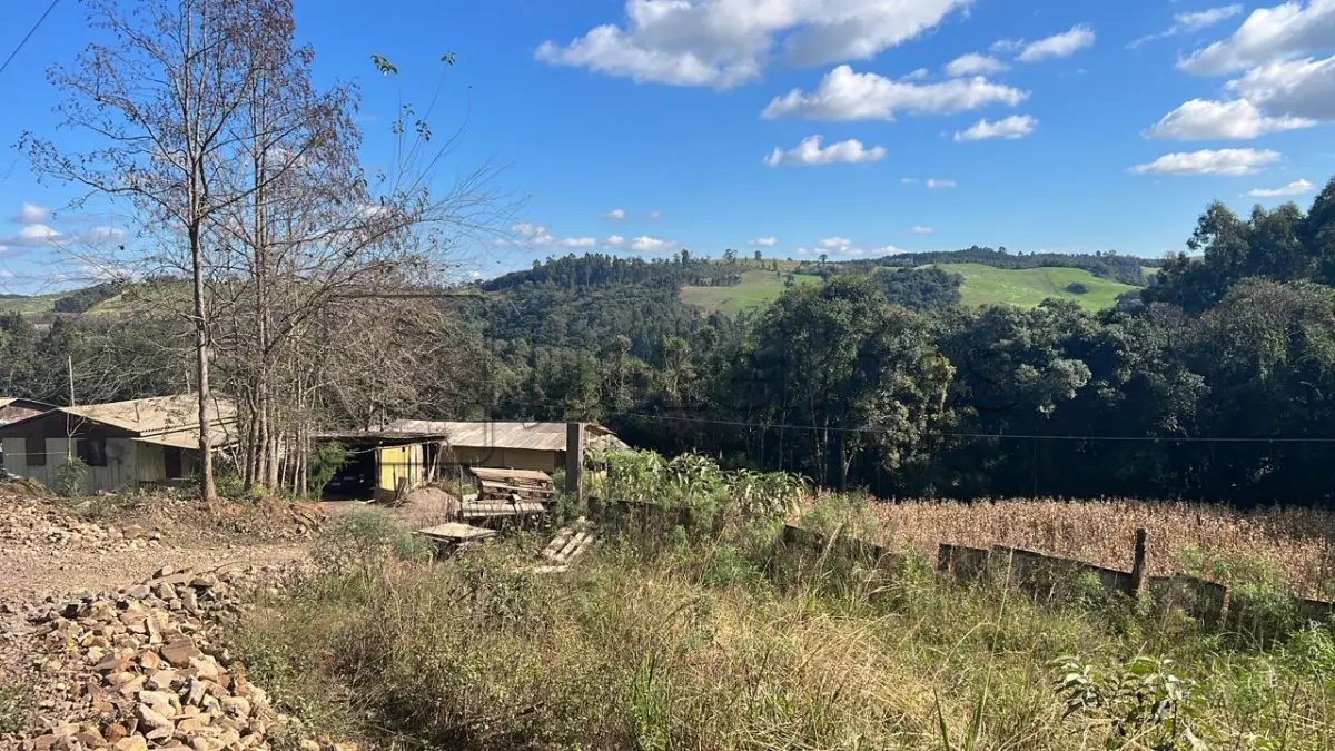 LOTE 031 - IMÓVEL RURAL COM ÁREA DE 6.590m²