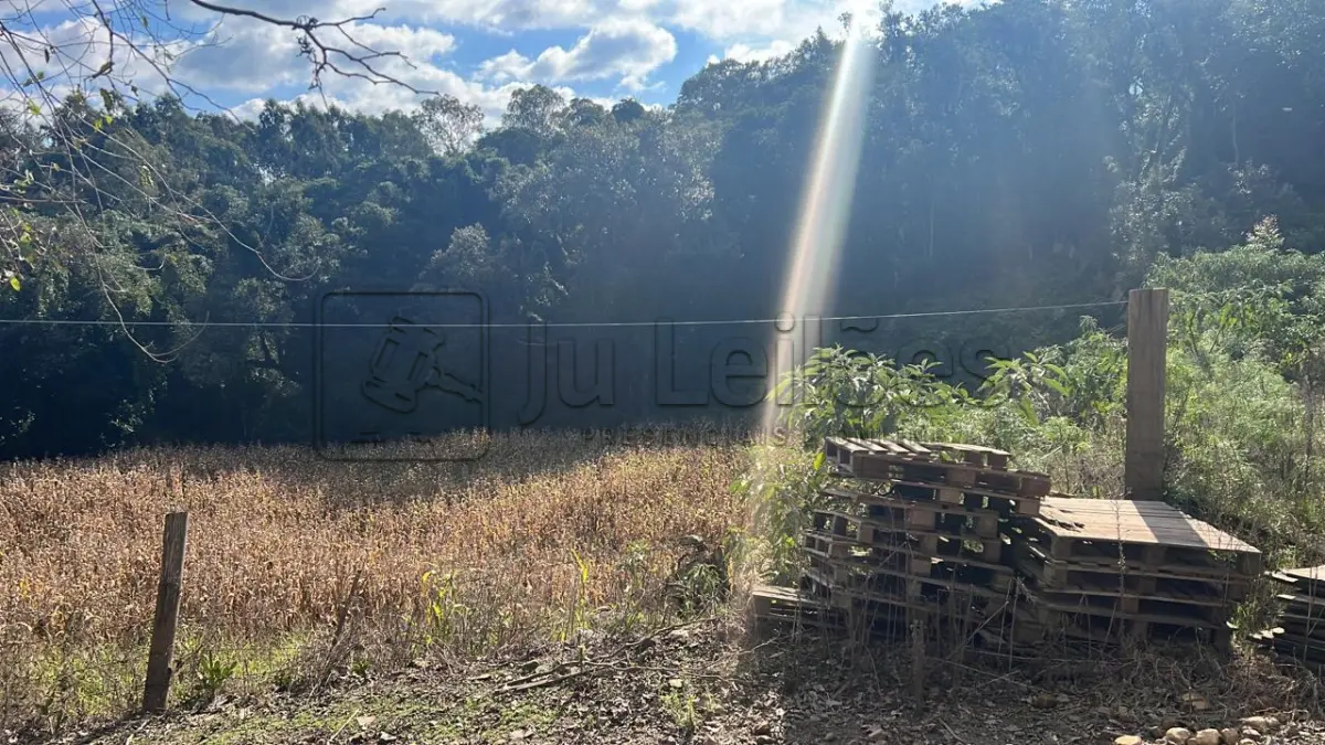 LOTE 031 - IMÓVEL RURAL COM ÁREA DE 6.590m²