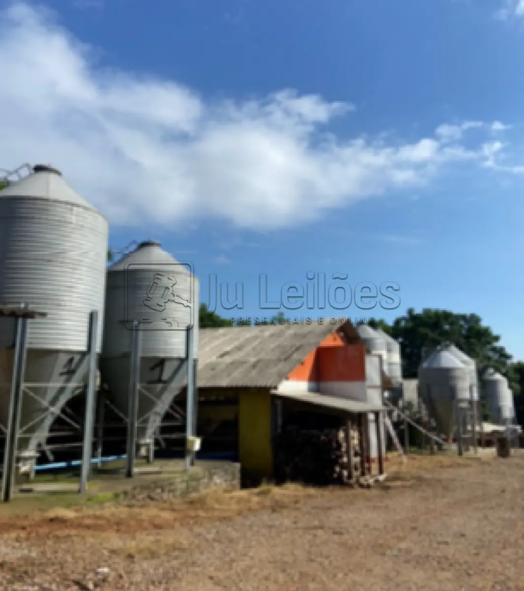 Imóvel rural com 24 hectares e 04 aviários em santo antônio do palma/rs - foto 4