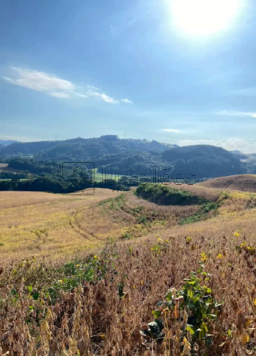 Imóvel rural com 24 hectares e 04 aviários em santo antônio do palma/rs - foto 2