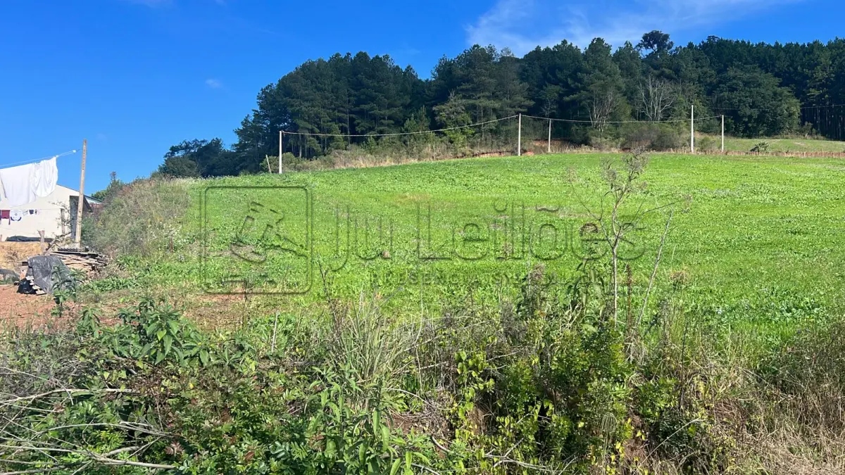 LOTE 033 - IMÓVEL URBANO COM ÁREA 500,00m²,