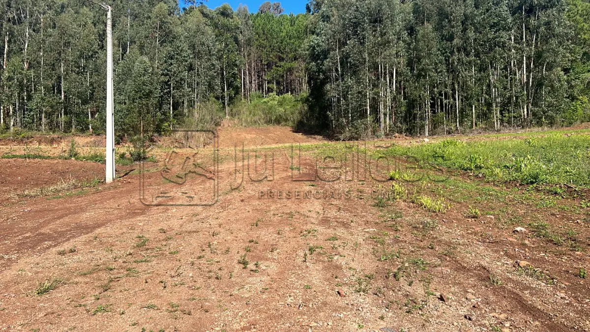 LOTE 035 - IMÓVEL URBANO COM ÁREA 735,22m²