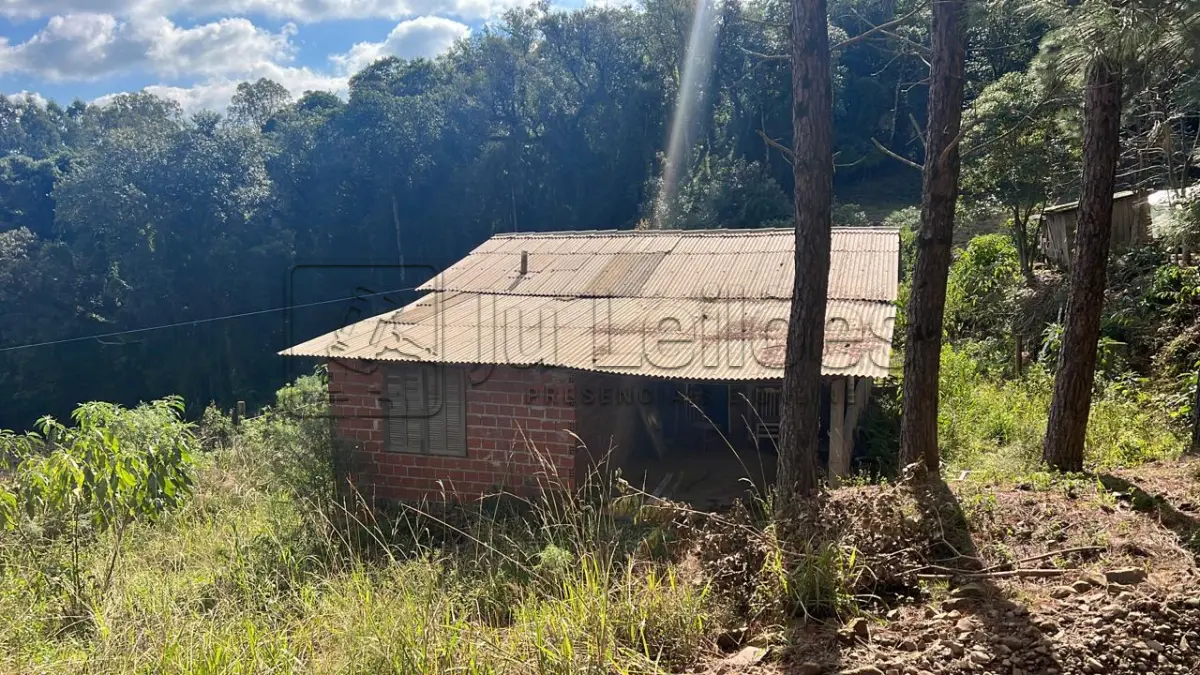 LOTE 031 - IMÓVEL RURAL COM ÁREA DE 6.590m²