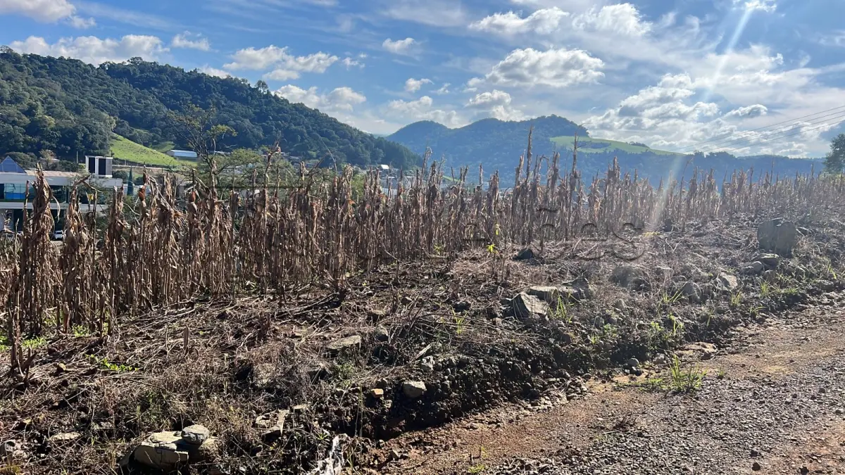 LOTE 032 - IMÓVEL URBANO COM ÁREA 1.130,00m²