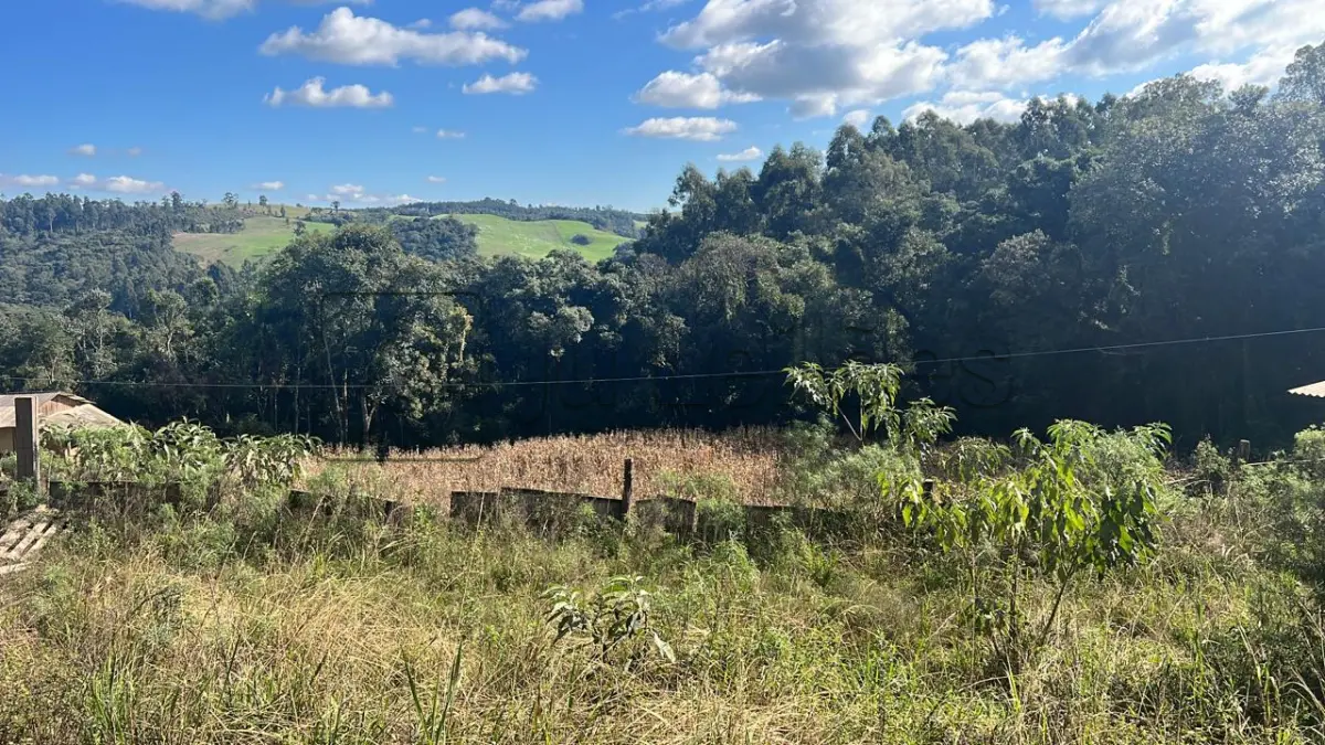 LOTE 031 - IMÓVEL RURAL COM ÁREA DE 6.590m²