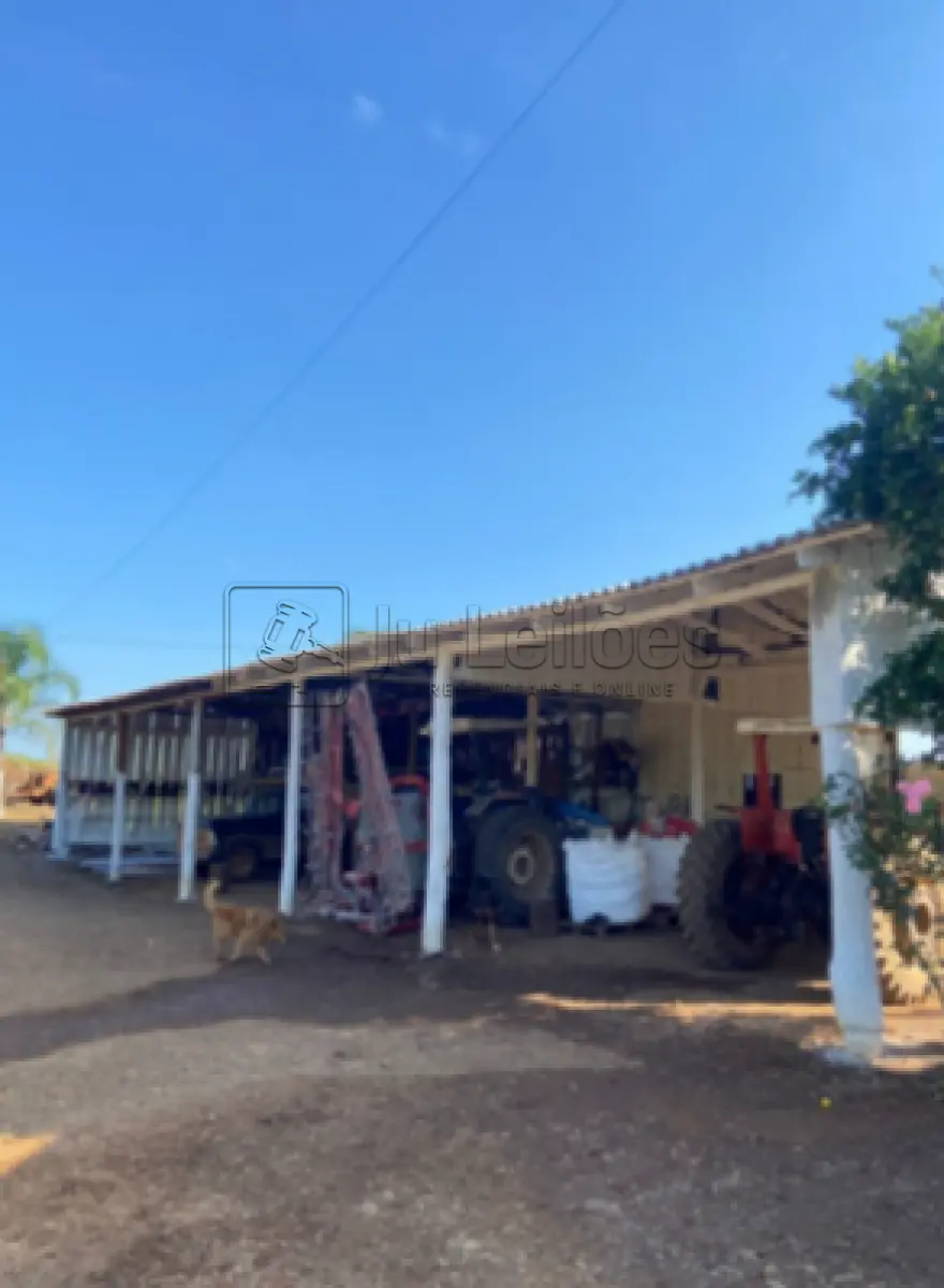 Imóvel rural com 24 hectares e 04 aviários em santo antônio do palma/rs - foto 3