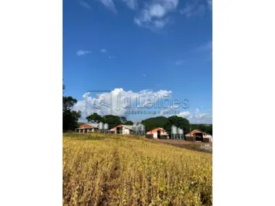 IMÓVEL RURAL COM 24 HECTARES E 04 AVIÁRIOS  EM SANTO ANTÔNIO DO PALMA/RS