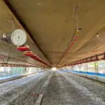 IMÓVEL RURAL COM 24 HECTARES E 04 AVIÁRIOS  EM SANTO ANTÔNIO DO PALMA/RS