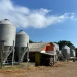 IMÓVEL RURAL COM 24 HECTARES E 04 AVIÁRIOS  EM SANTO ANTÔNIO DO PALMA/RS