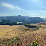 IMÓVEL RURAL COM 24 HECTARES E 04 AVIÁRIOS  EM SANTO ANTÔNIO DO PALMA/RS