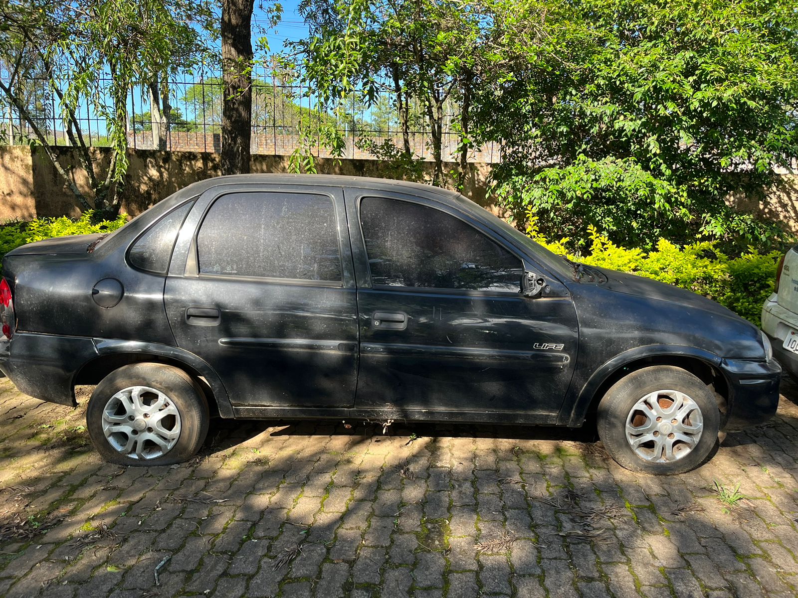 Foto 1
